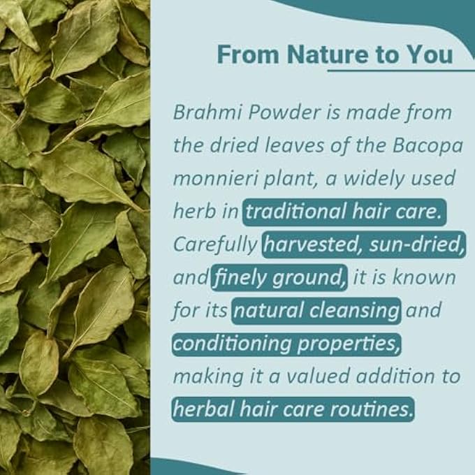 MI NATURE ORGANIC BRAHMI LEAVES POWDER (BACOPA MONNIERI) - 227 G / 8 OZ / 1/2 LB | 100% NATURAL & PURE HAIR CONDITIONER | VEGAN - Image 3